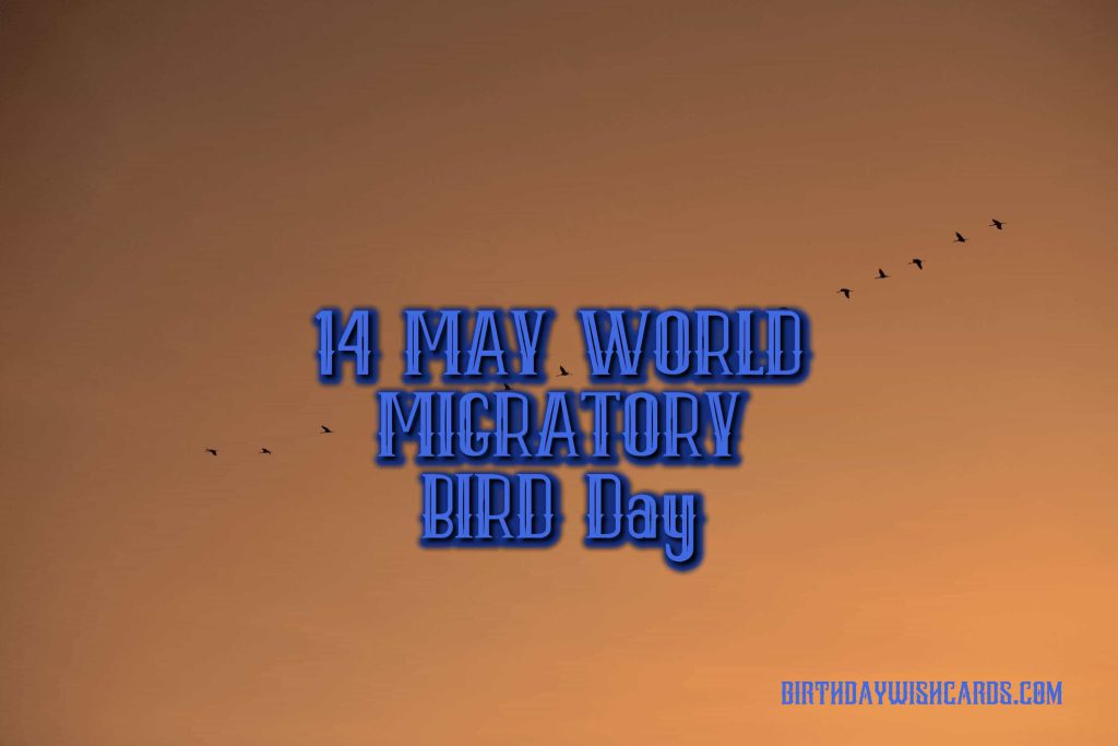09-Oct World Migratory Bird Day:
