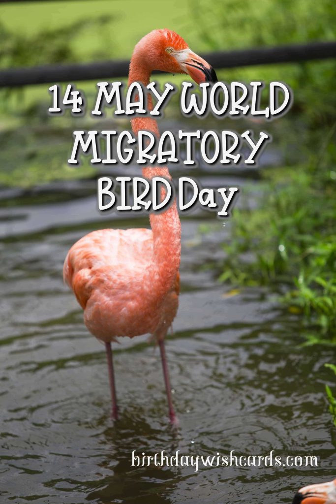09-Oct World Migratory Bird Day: