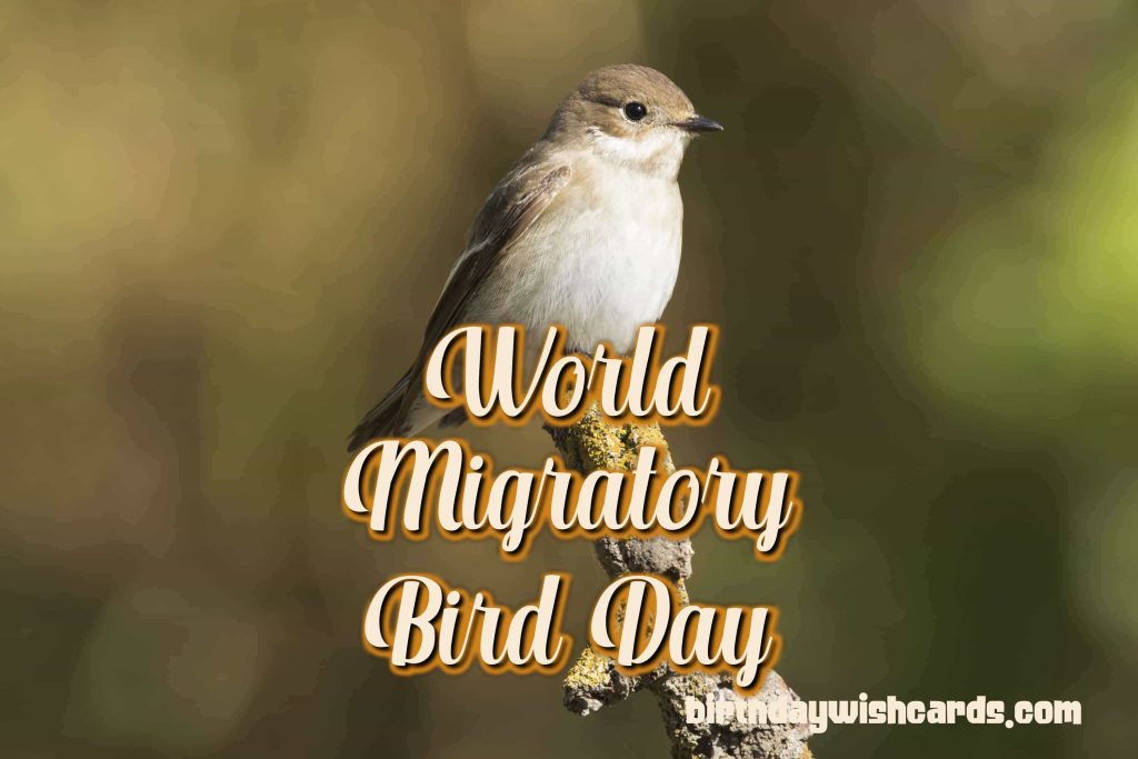 09-Oct World Migratory Bird Day: