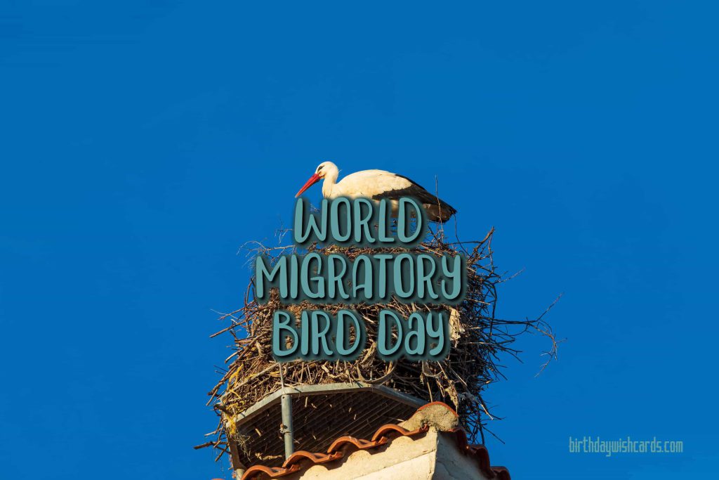 09-Oct World Migratory Bird Day: