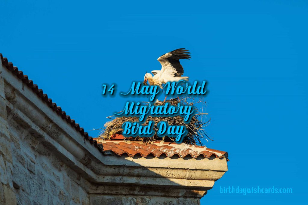 09-Oct World Migratory Bird Day:
