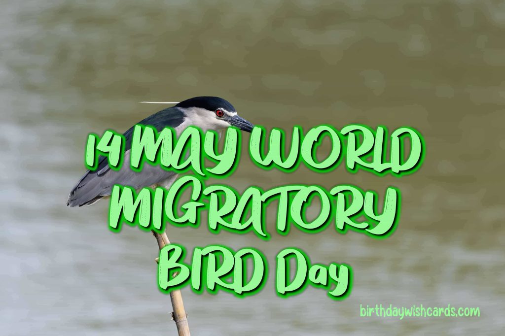 09-Oct World Migratory Bird Day: