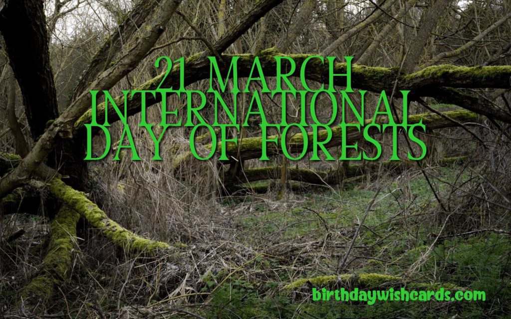 21-March International Day For Forests: