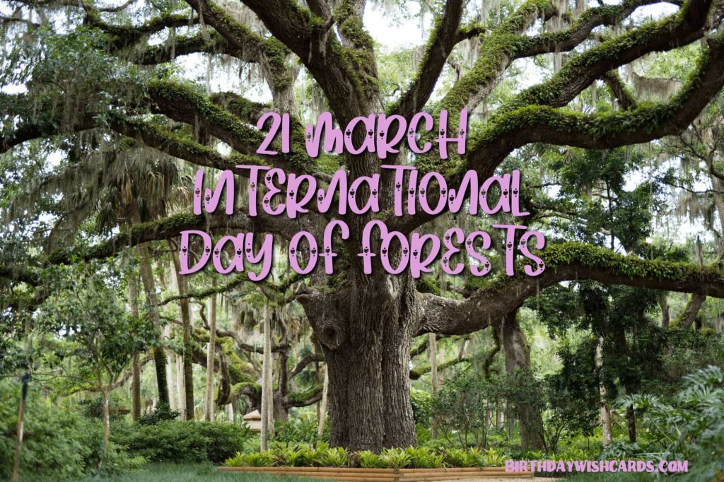 21-March International Day For Forests: