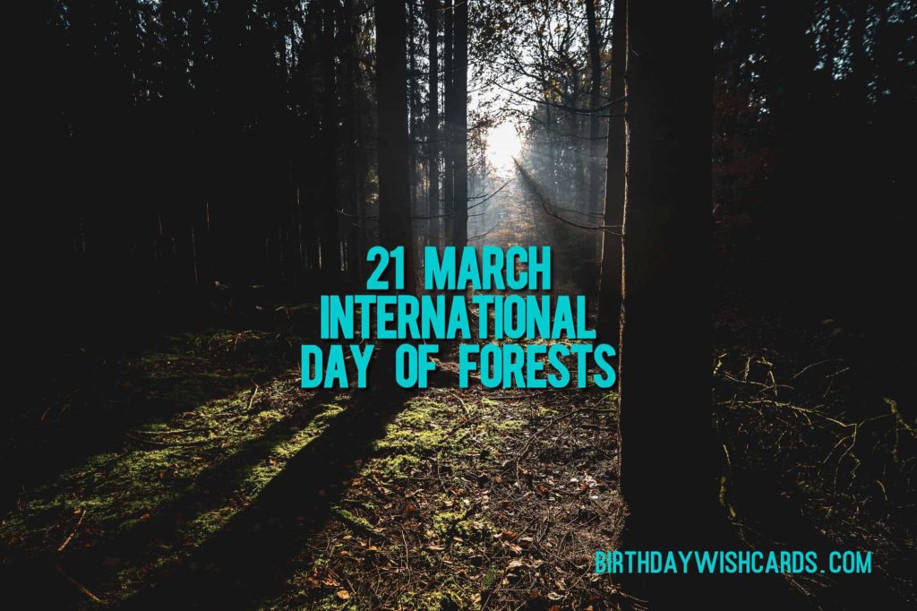 21-March International Day For Forests: