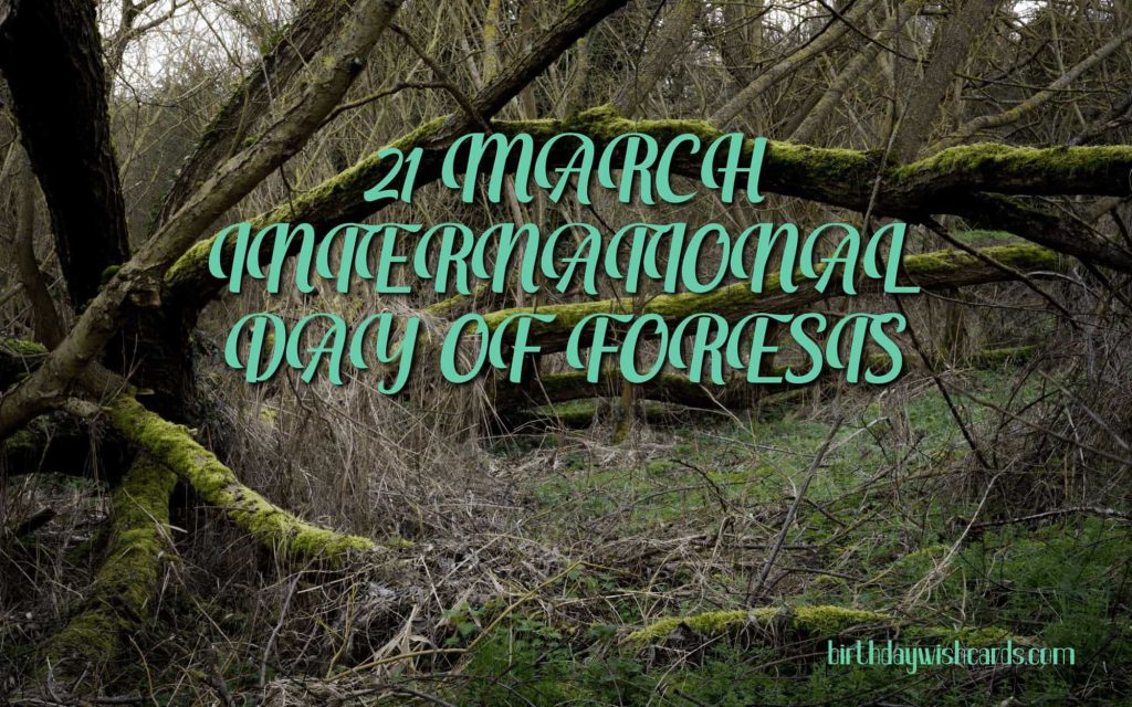 21-March International Day For Forests: