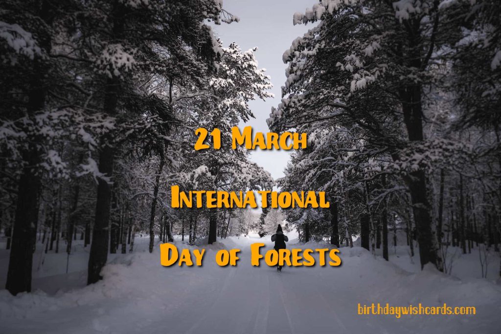 21-March International Day For Forests: