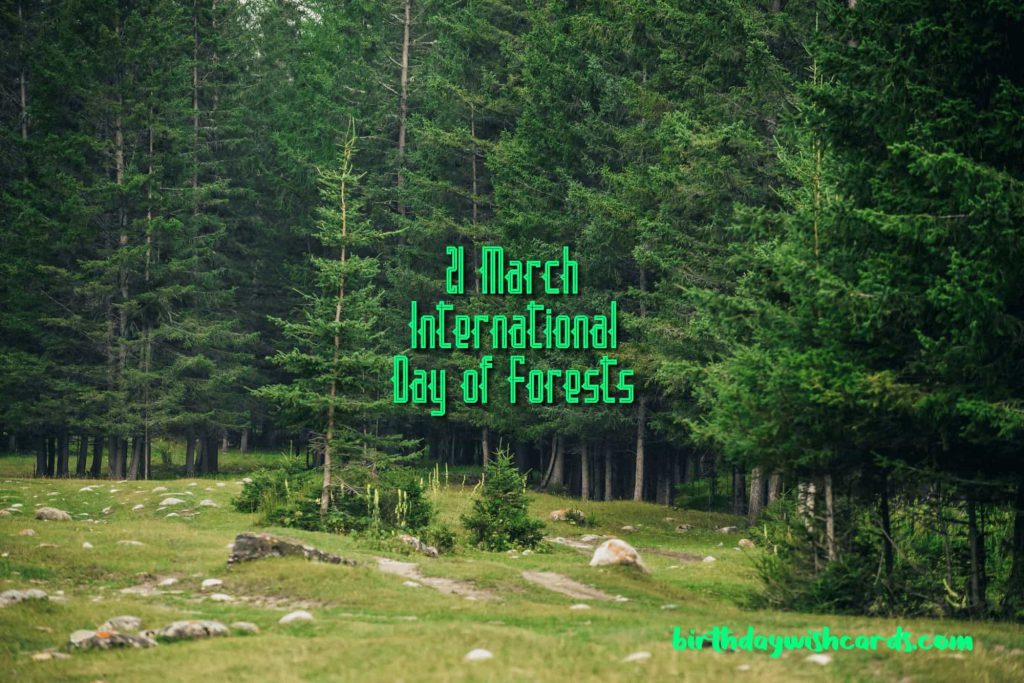 21-March International Day For Forests: