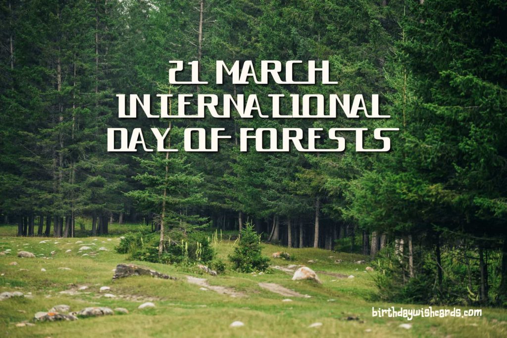 21-March International Day For Forests: