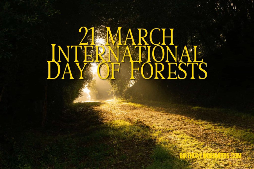 21-March International Day For Forests: