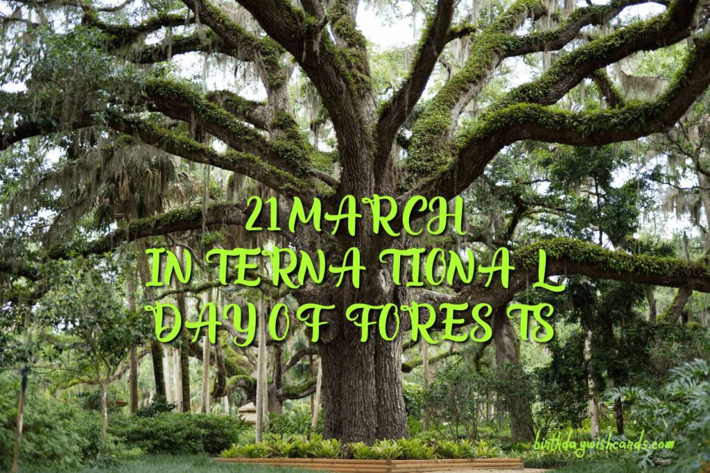 21-March International Day For Forests:
