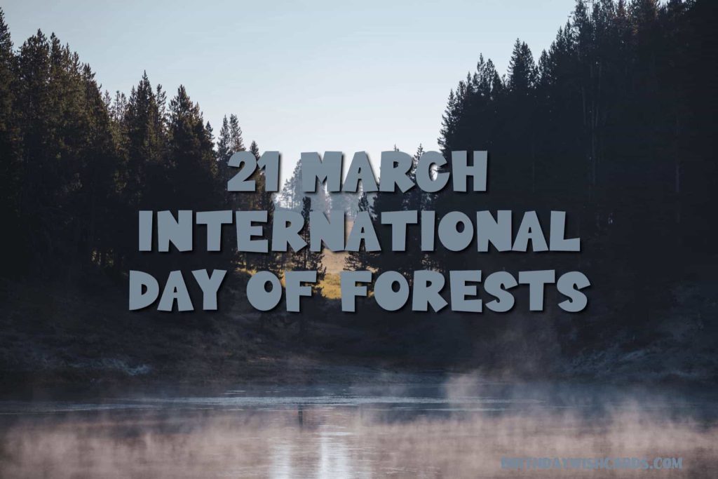 21-March International Day For Forests: