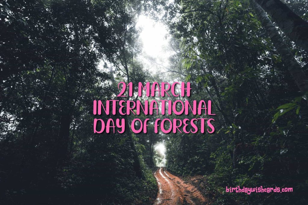 21-March International Day For Forests: