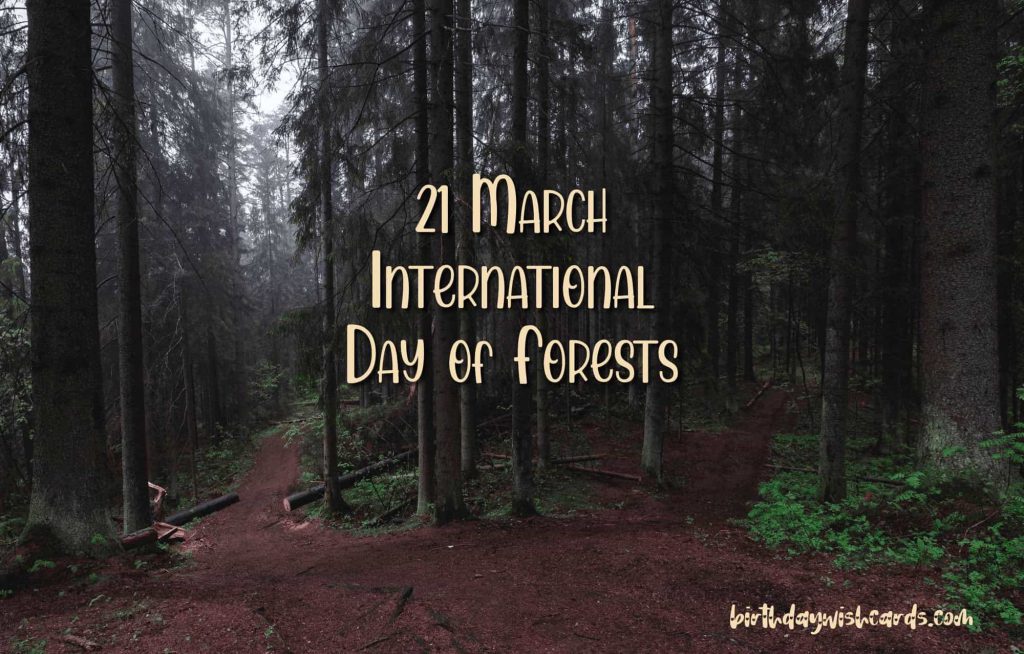 21-March International Day For Forests: