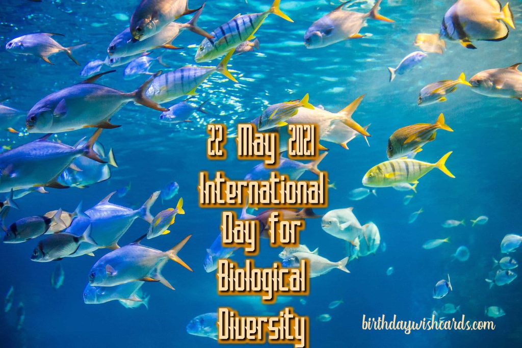 22-May International Day for Biological Diversity: