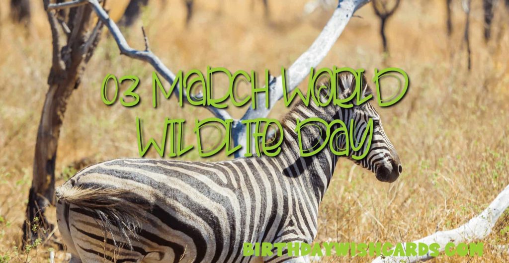 03-March World Wildlife Day: