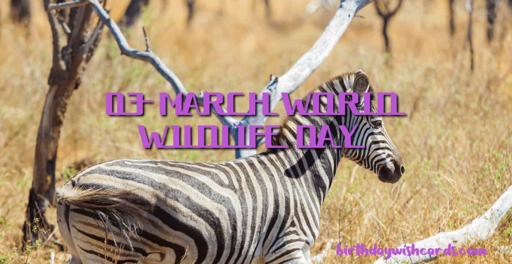 03-March World Wildlife Day: