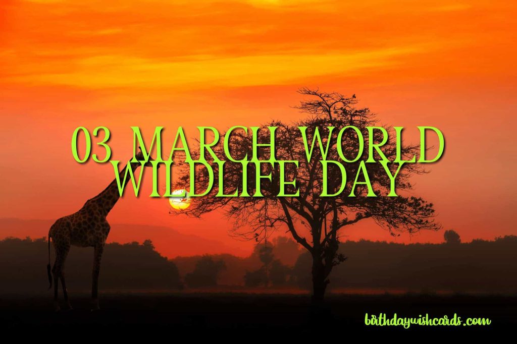 03-March World Wildlife Day: