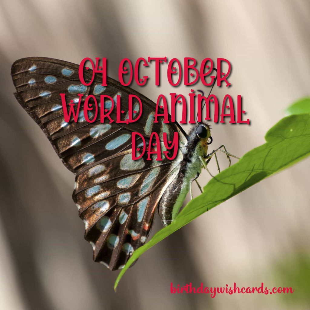 04-Oct World Animal Day: