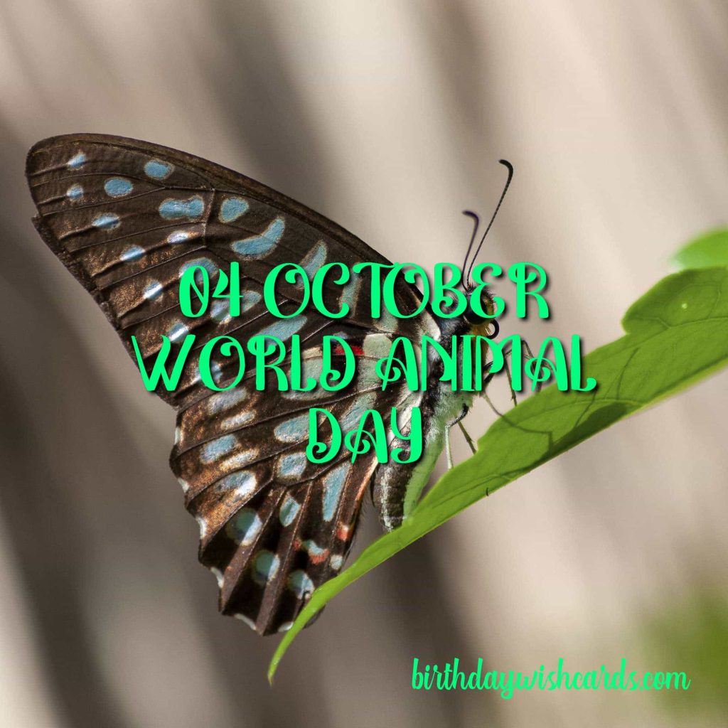 04-Oct World Animal Day: