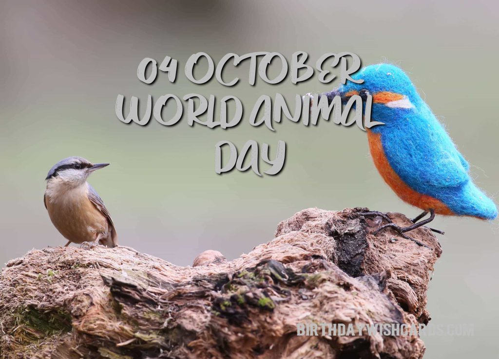 04-Oct World Animal Day: