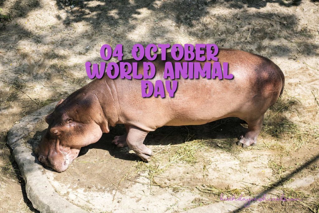 04-Oct World Animal Day: