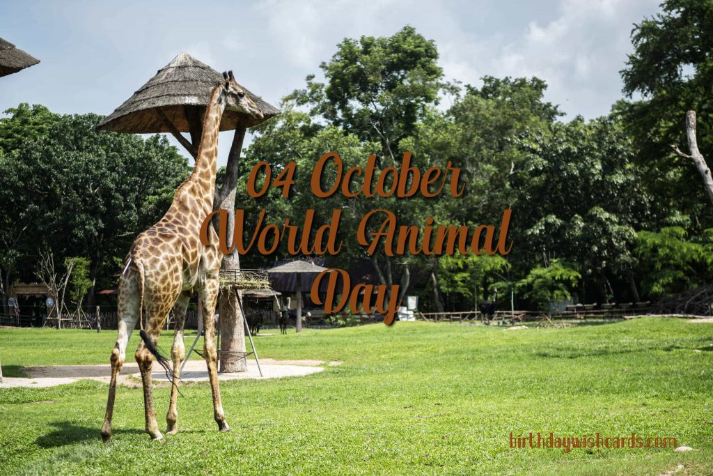 04-Oct World Animal Day: