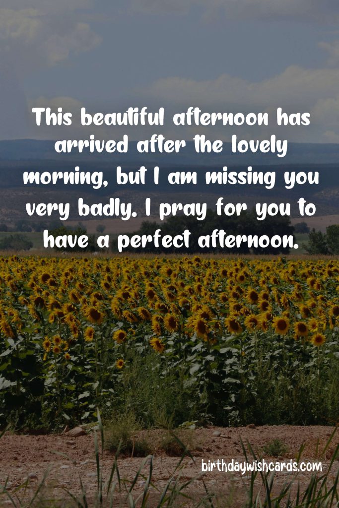 Good Afternoon Messages for Husband: