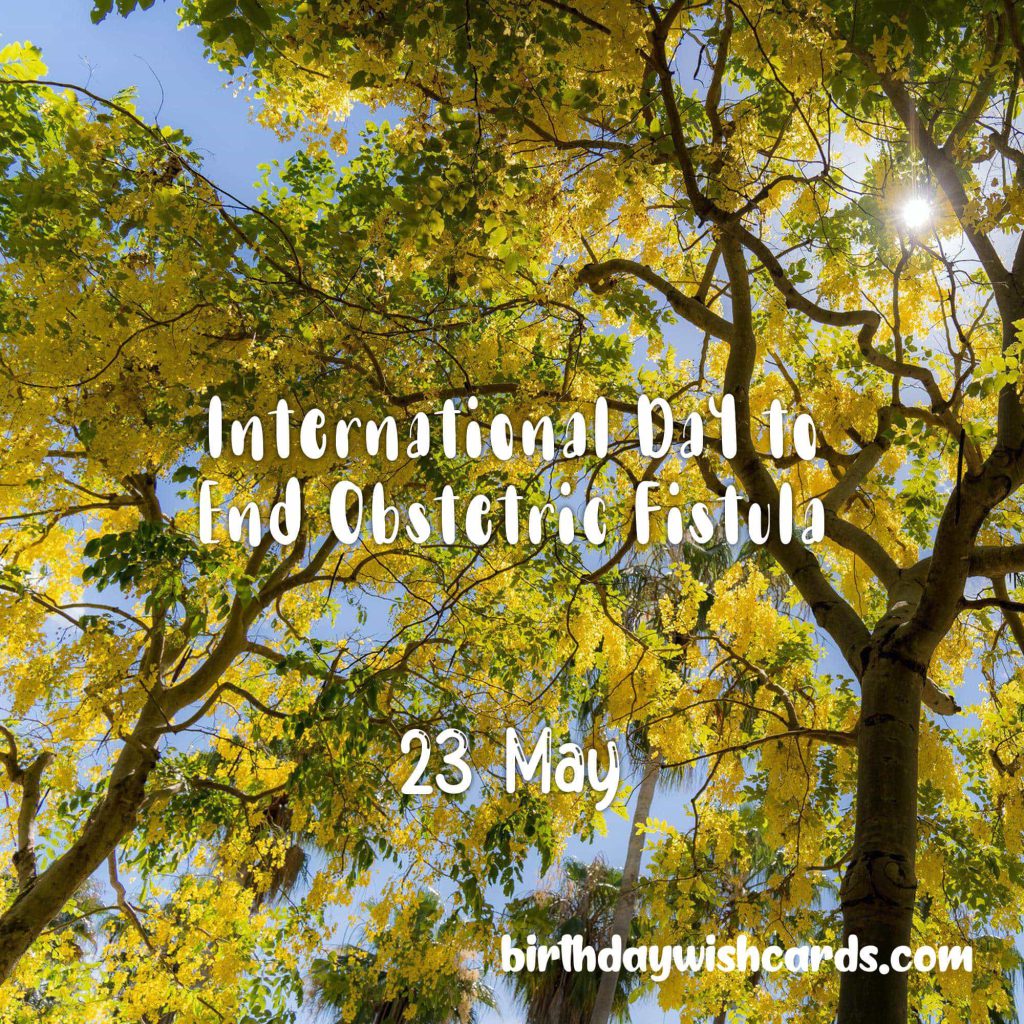 23-May International Day to End Obstetric Fistula: