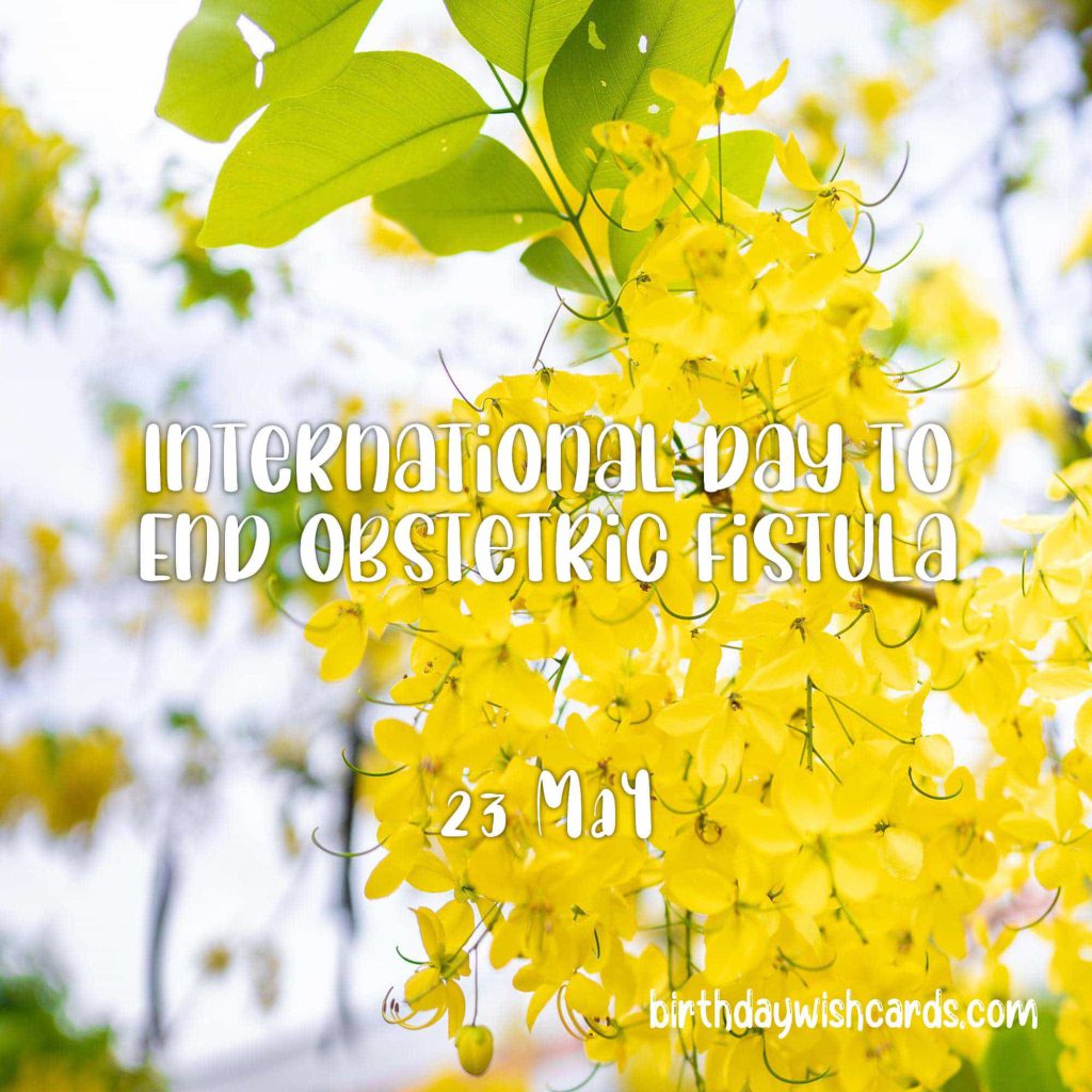 23-May International Day to End Obstetric Fistula: