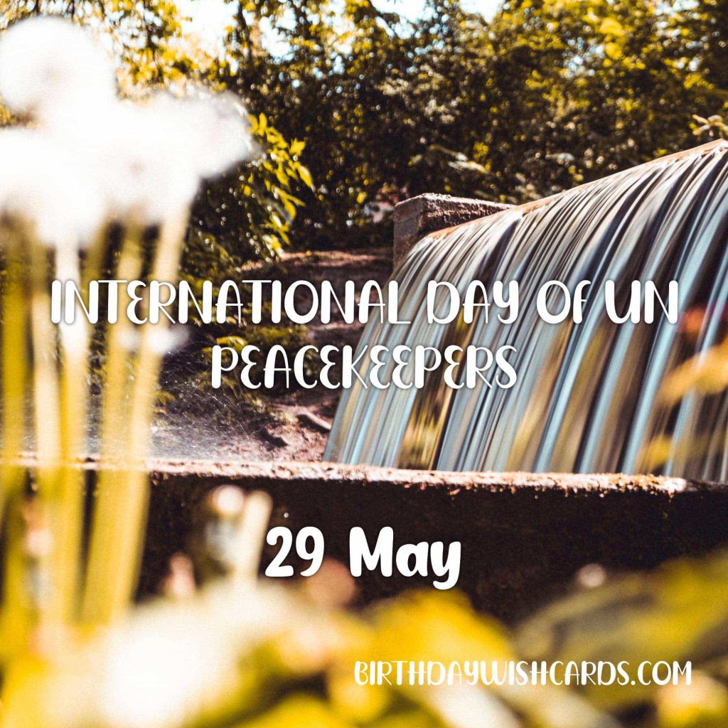 29-May International Day of UN Peacekeepers: