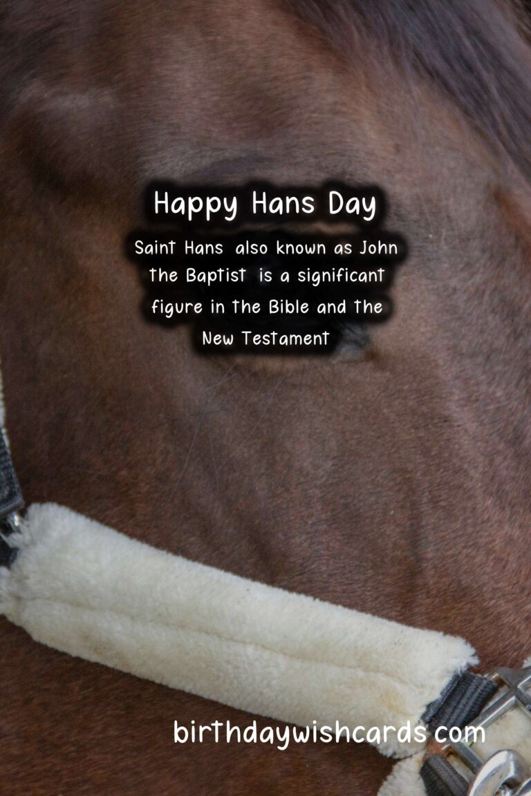 Celebrate Hans Day - June 24th with These Fun Activities!
