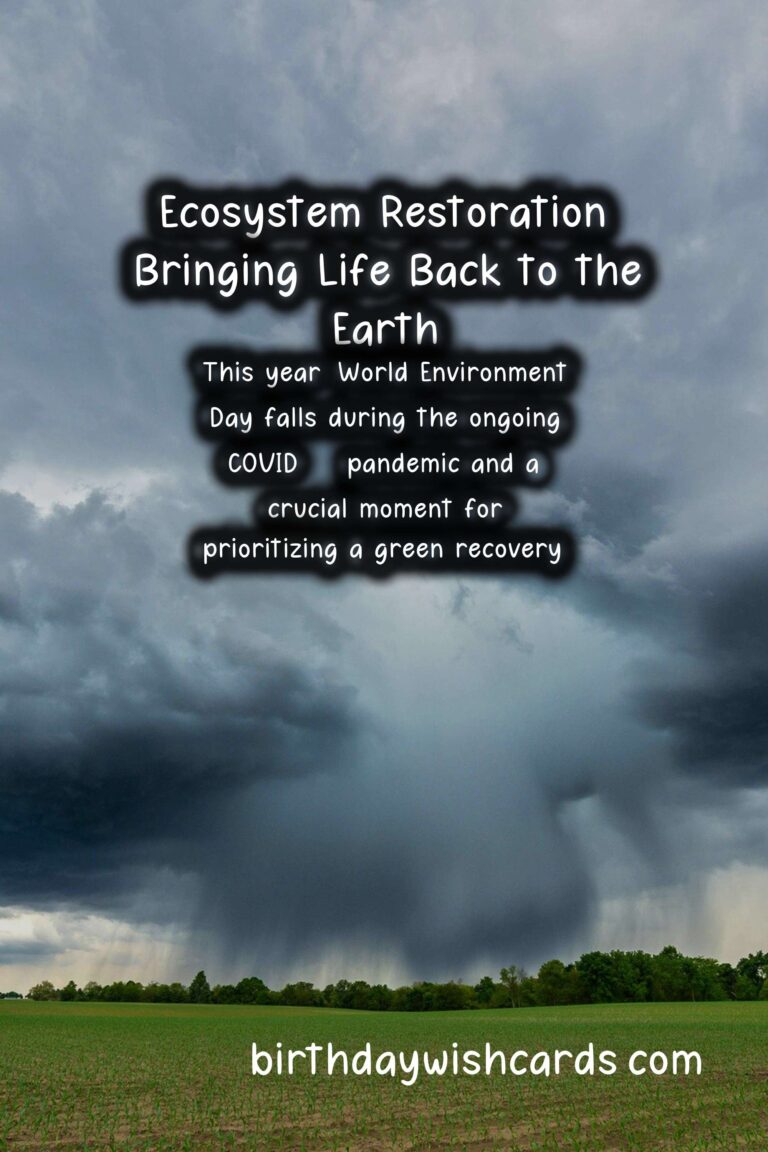 Celebrate World Environment Day on June 5th