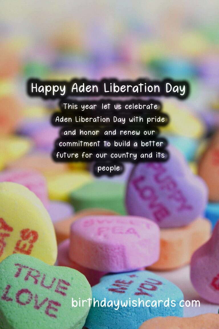 Commemorating Aden Liberation Day: A Day of Triumph and Unity