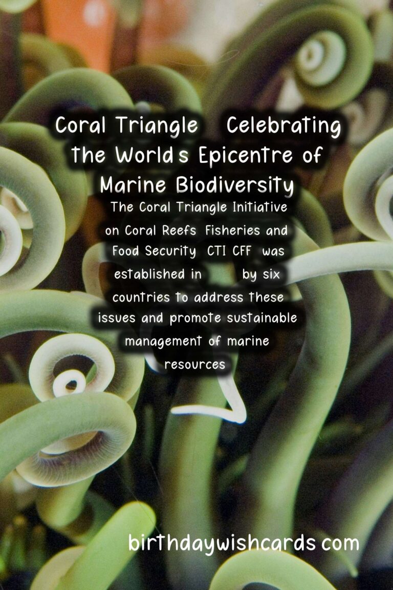 Coral Triangle Day (June 9) – Celebrating the World's Epicentre of Marine Biodiversity