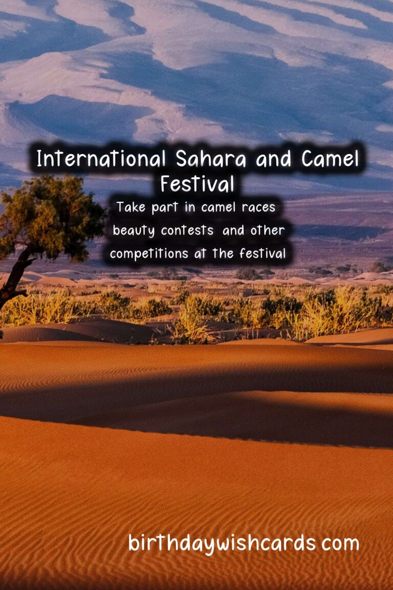 Experience the Beauty and Culture at the International Sahara and Camel Festival