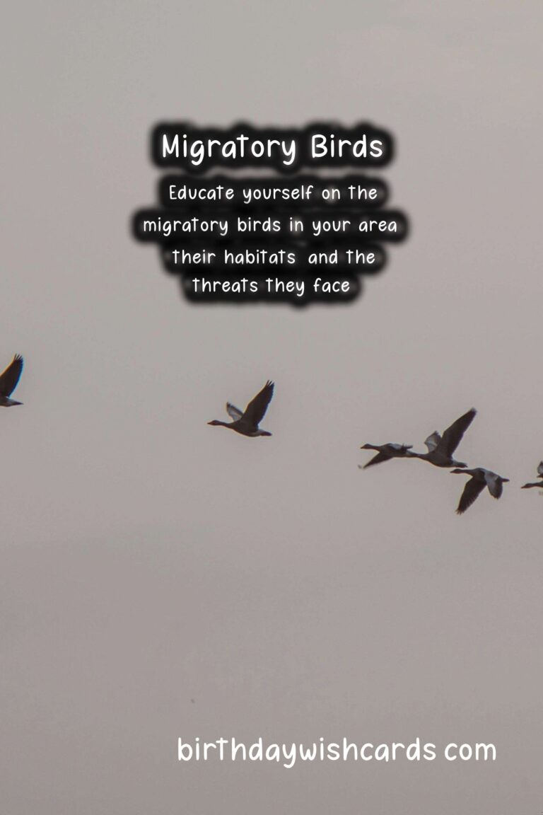 National Day of the Migratory Bird - January 12