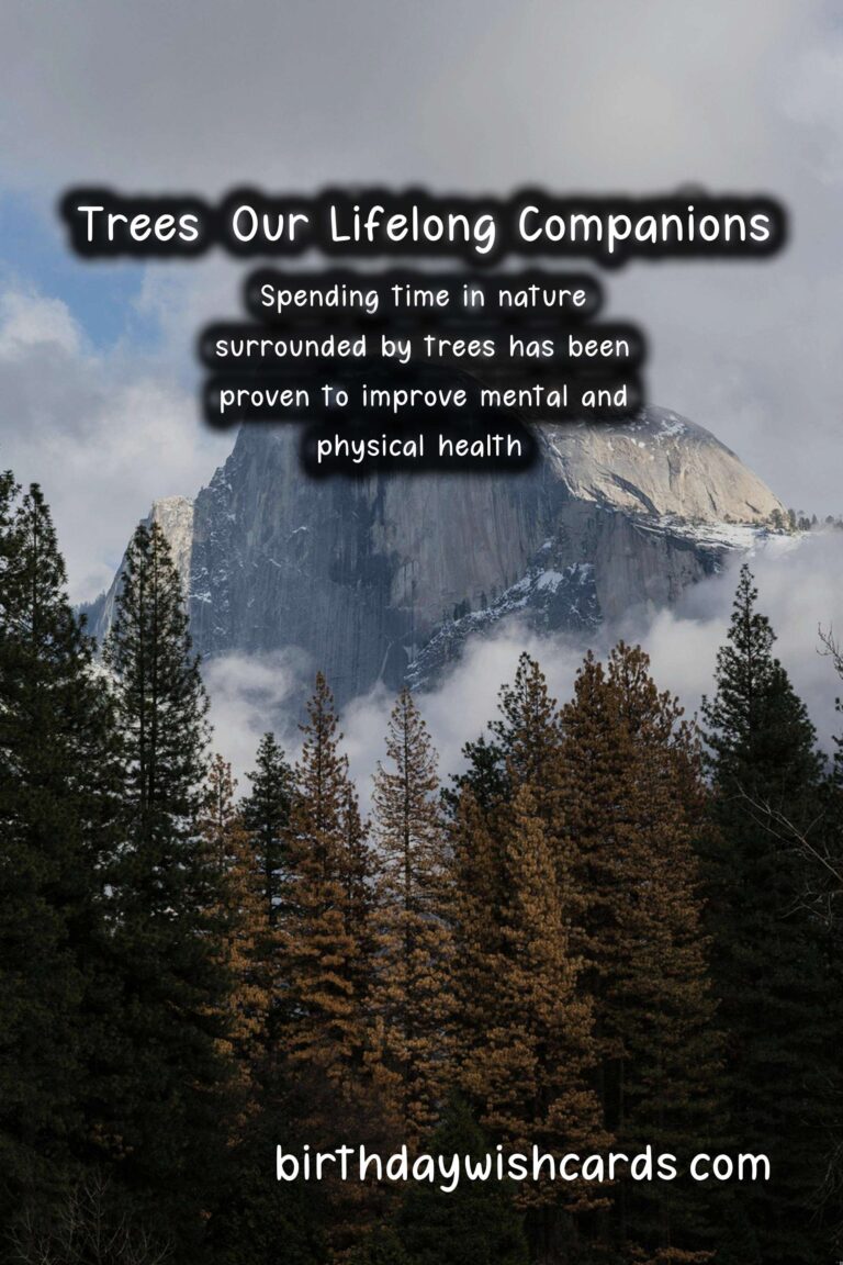 November 10: Celebrating National Tree Day