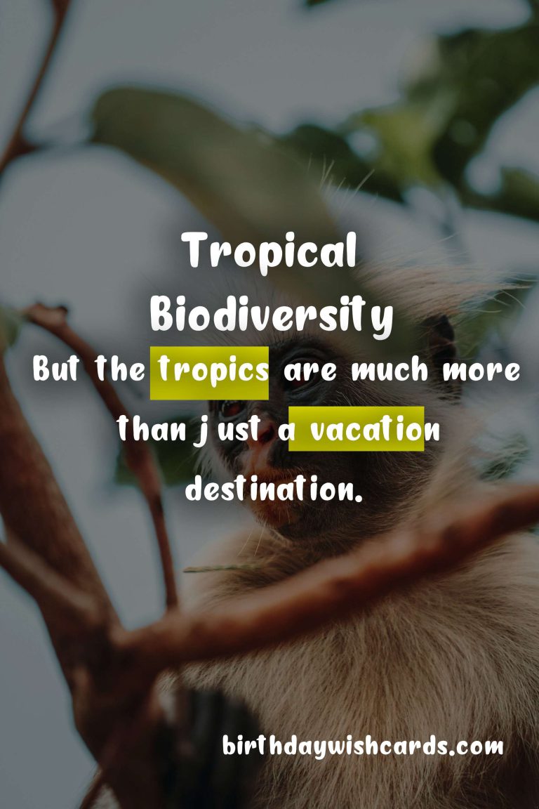International Day of the Tropics – June 29