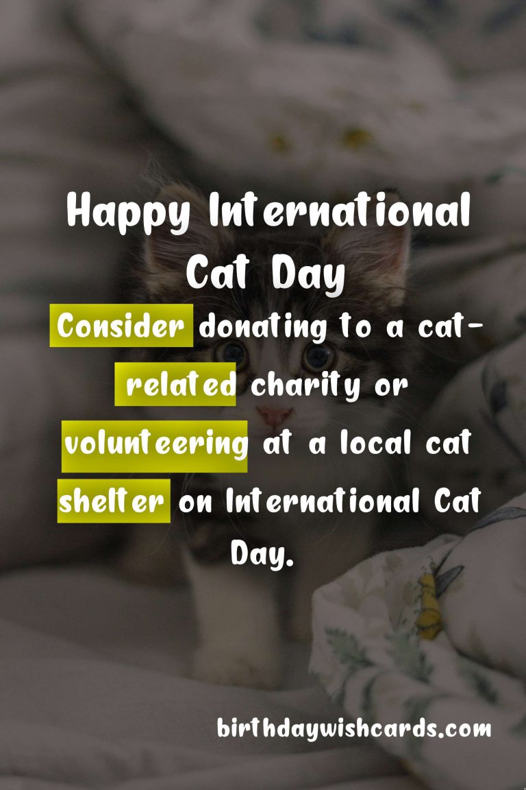 August 8 - International Cat Day: Celebrating Our Feline Friends