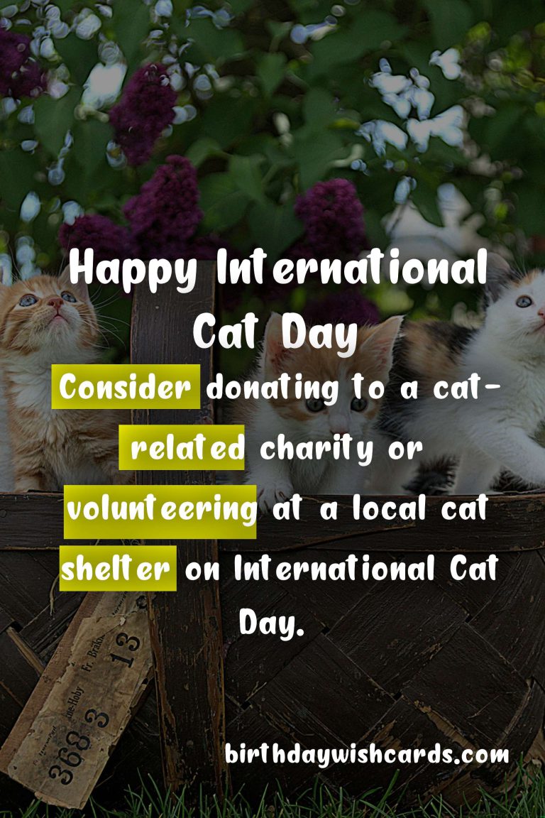 August 8 – International Cat Day: Celebrating Our Feline Friends