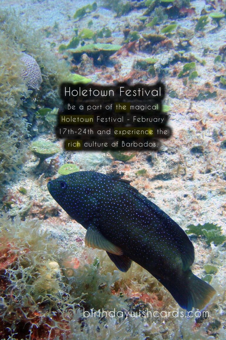 Experience the Excitement at the Holetown Festival - February 17th-24th