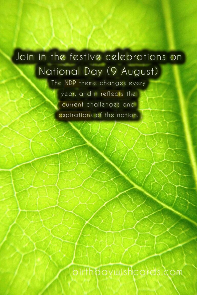 Celebrate Singapore's National Day Parade (9 August)