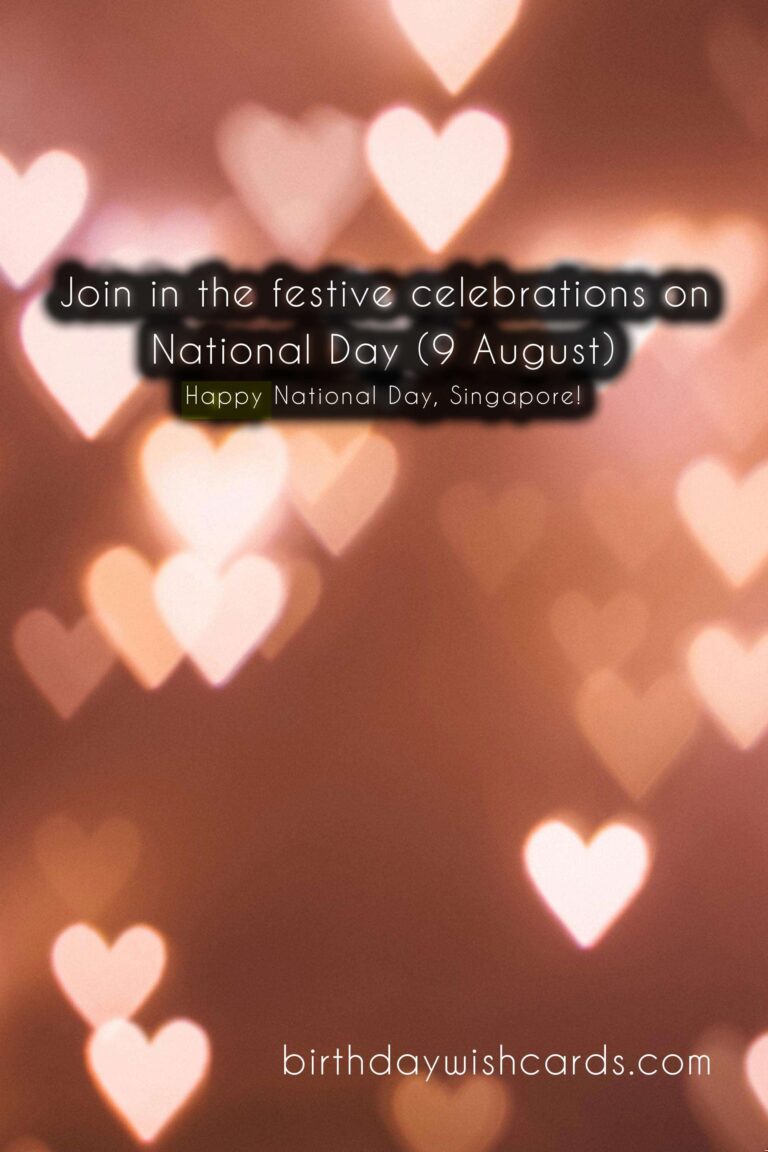 Celebrate Singapore’s National Day Parade (9 August)