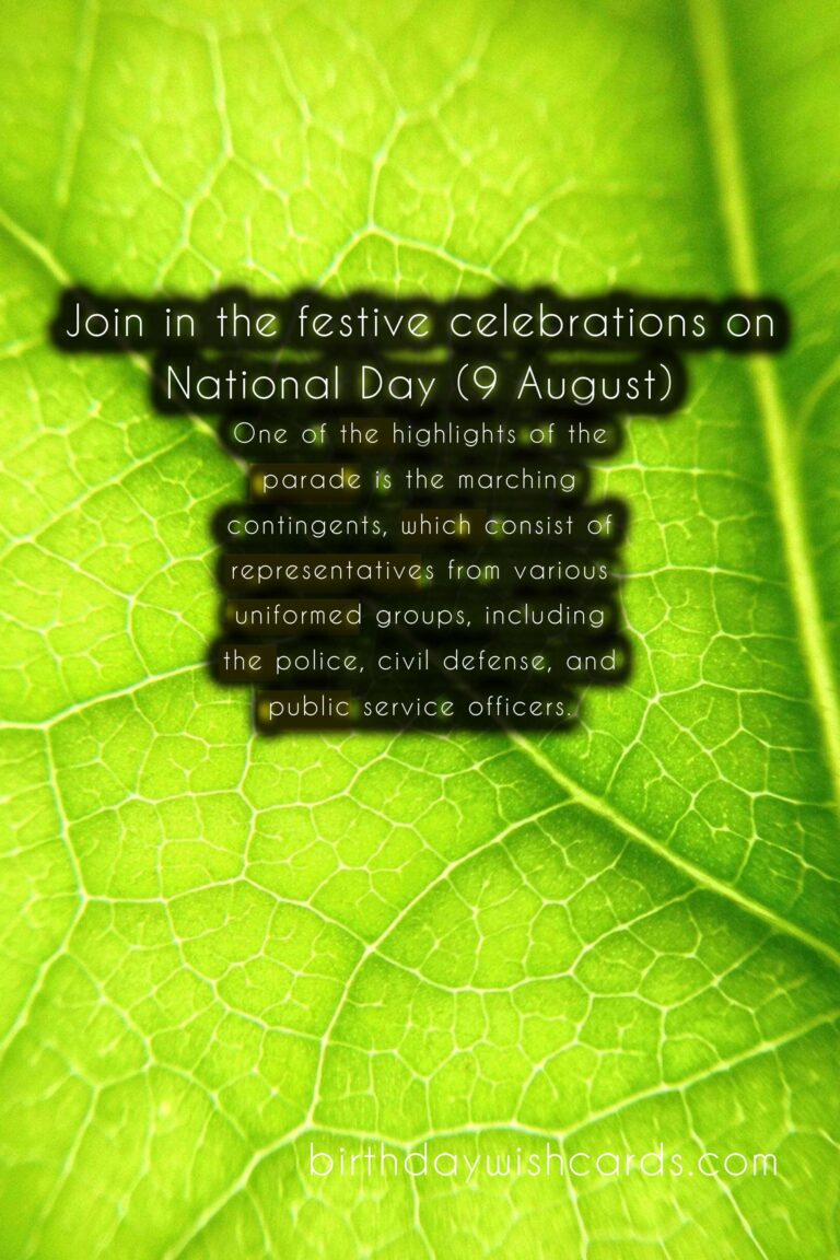 Celebrate Singapore's National Day Parade (9 August)