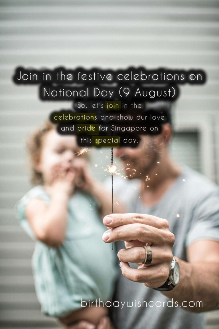 Celebrate Singapore's National Day Parade (9 August)