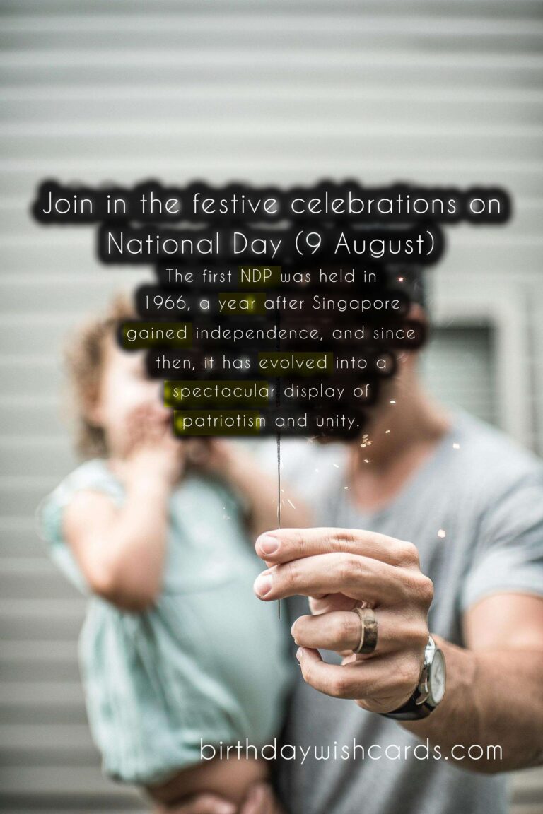 Celebrate Singapore's National Day Parade (9 August)