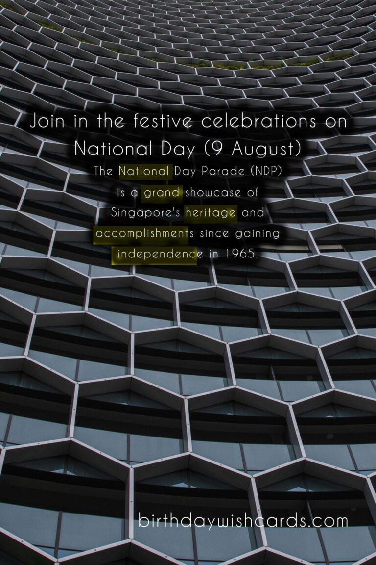 Celebrate Singapore's National Day Parade (9 August)