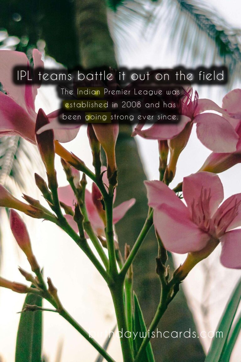 The Excitement and Thrill of the Indian Premier League: March/April Edition