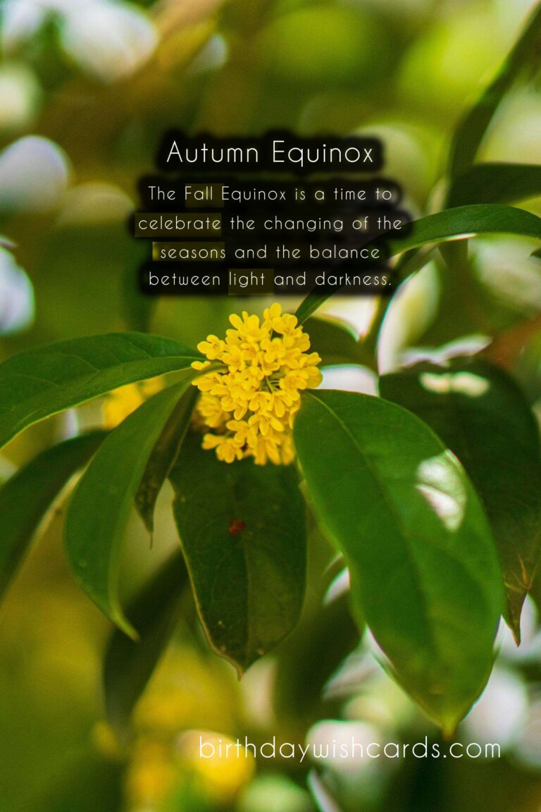 Fall Equinox: The Arrival of Autumn
